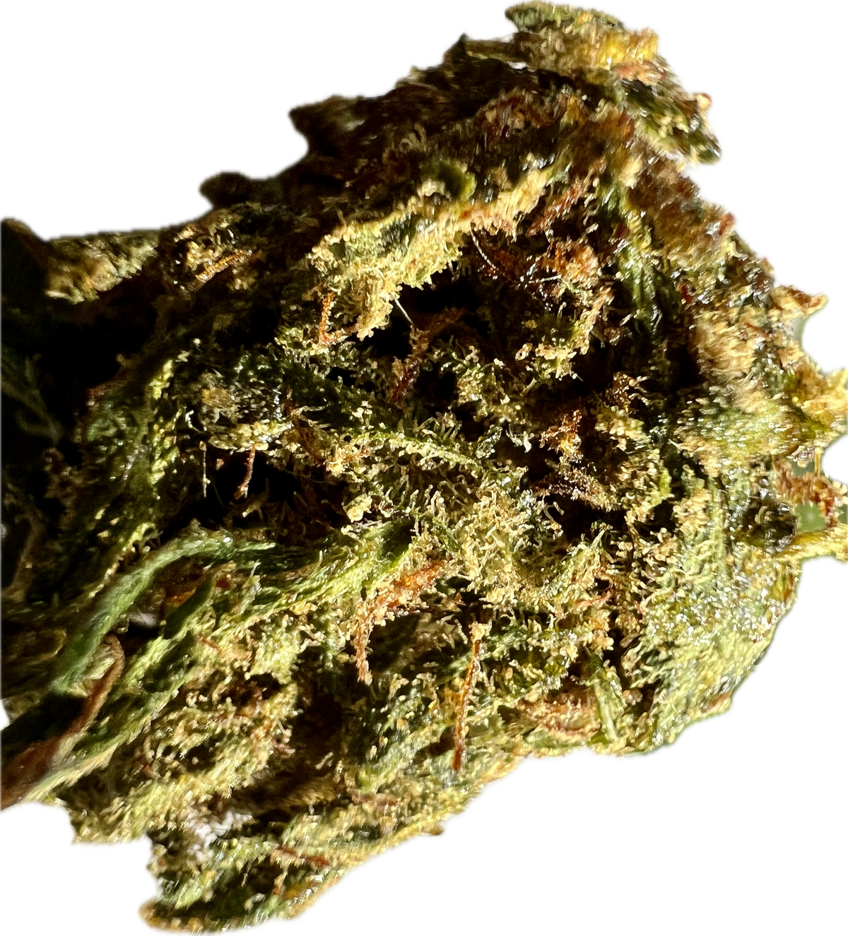 Ripkitty Super Sour Lifter HHC Hemp Flower
