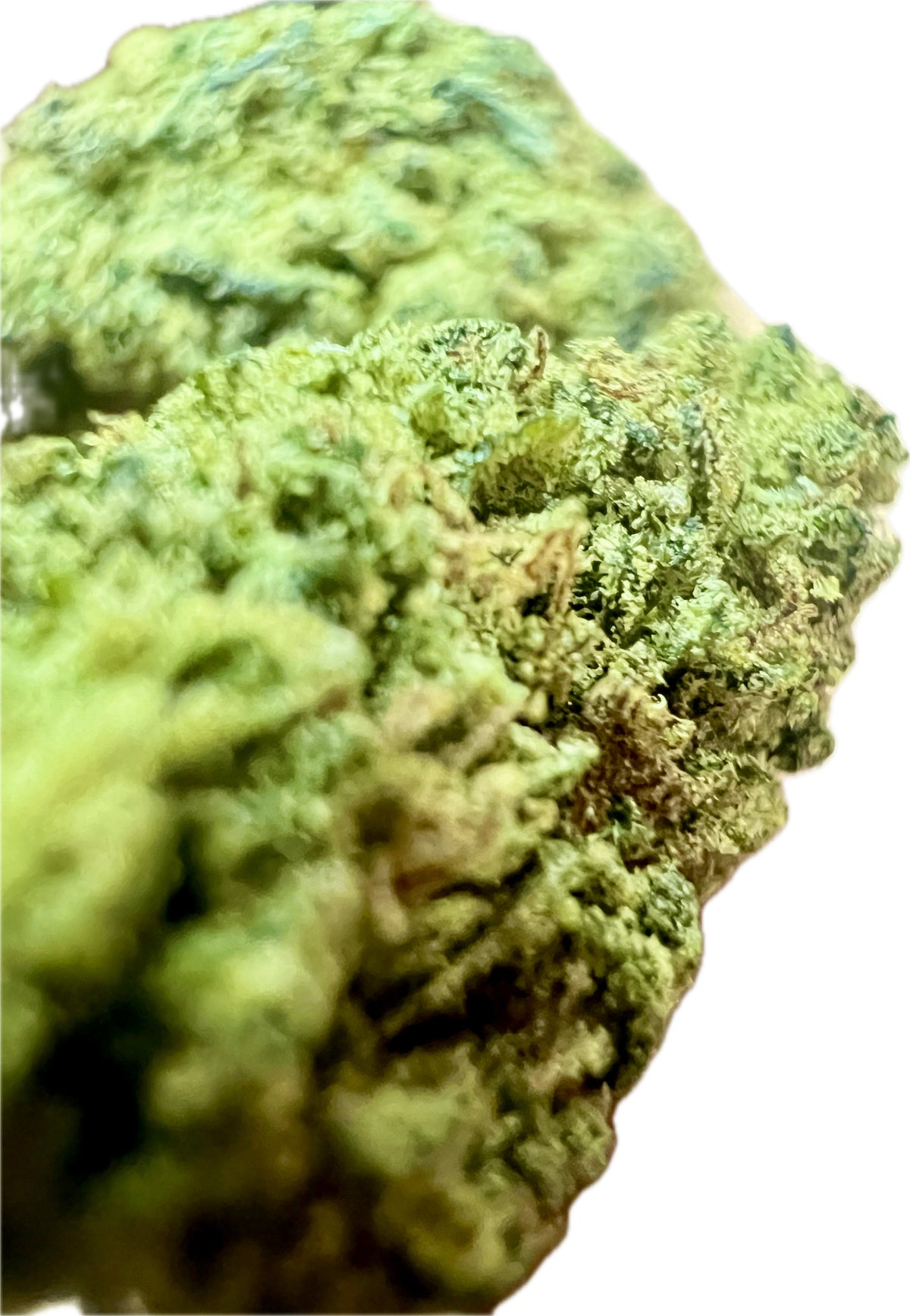Ripkitty Super Sour Lifter HHC Hemp Flower