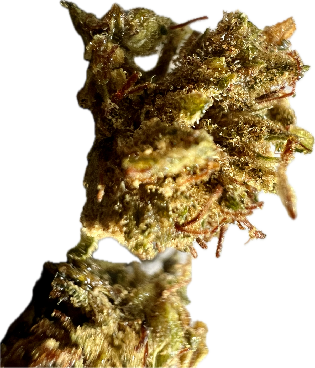 Ripkitty Super Sour Lifter HHC Hemp Flower