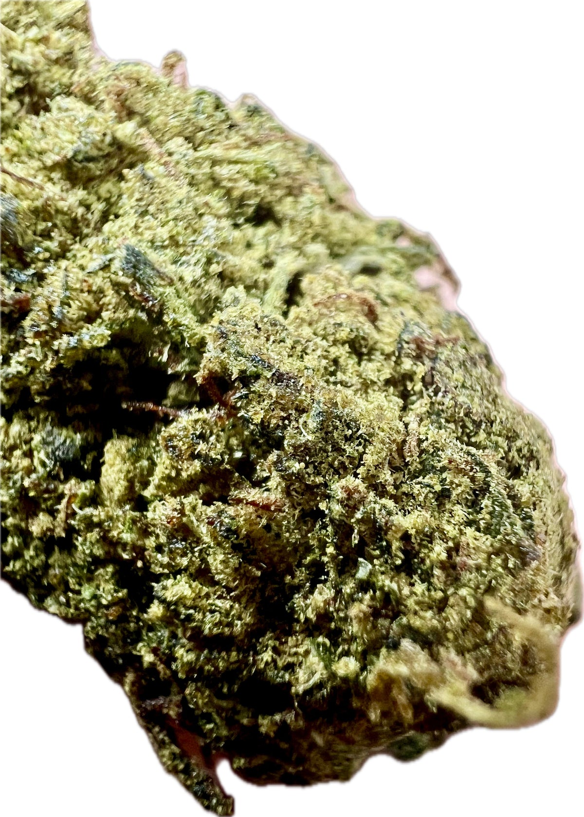 Ripkitty Super Sour Lifter HHC Hemp Flower