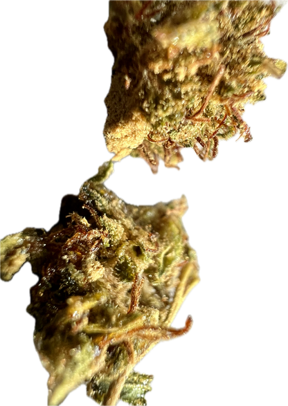 Ripkitty Super Sour Lifter HHC Hemp Flower