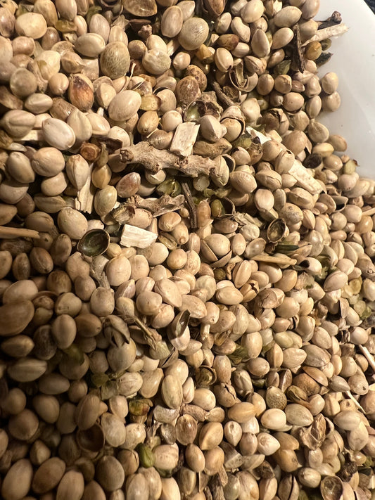 Ripkitty Premium Raw Organic Hemp Seeds Poultry Birds