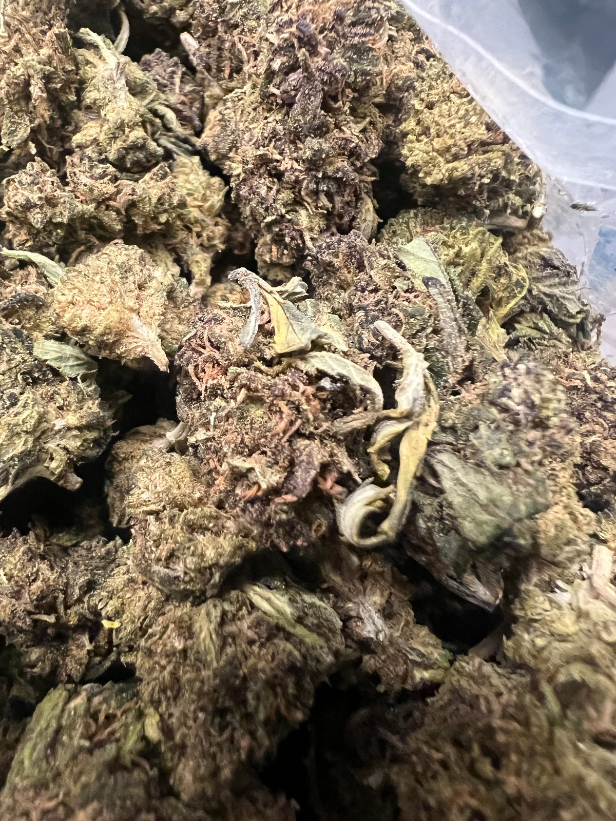 Ripkitty Abacus Diesel CBD Hemp Flower
