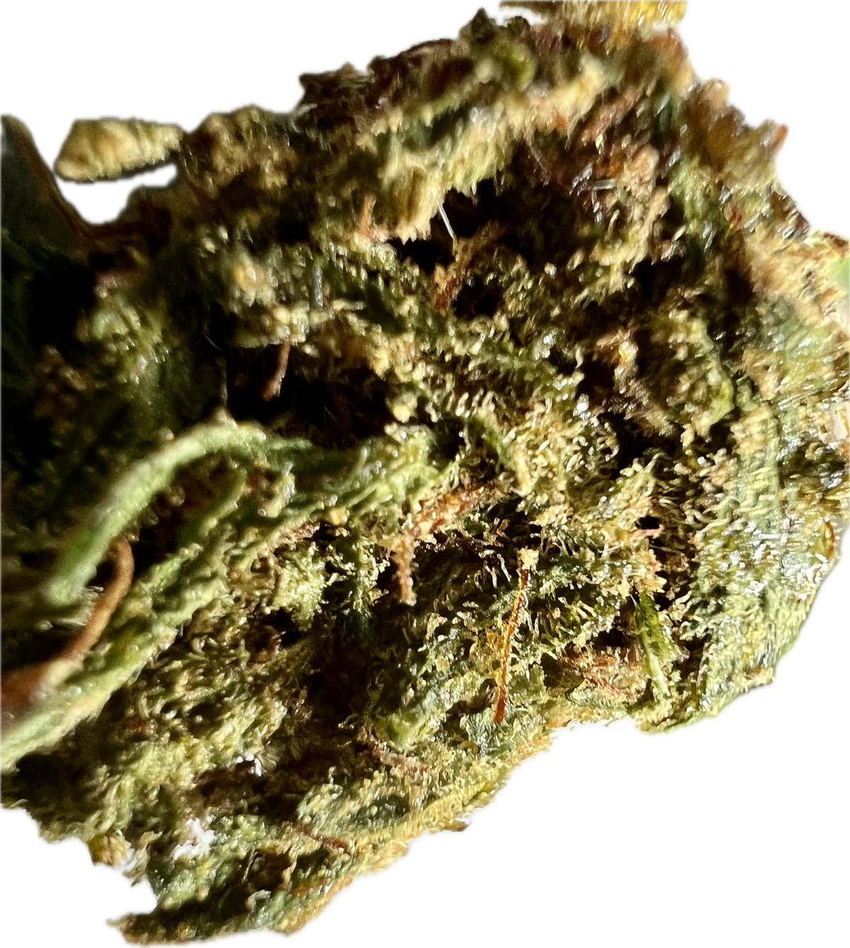 Ripkitty Super Sour Lifter HHC Hemp Flower