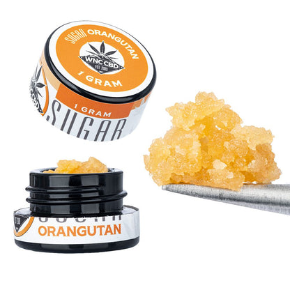WNC CBD THCA Sugar | 1g