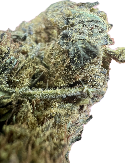Ripkitty Black Truffle THCA Hemp Flowers